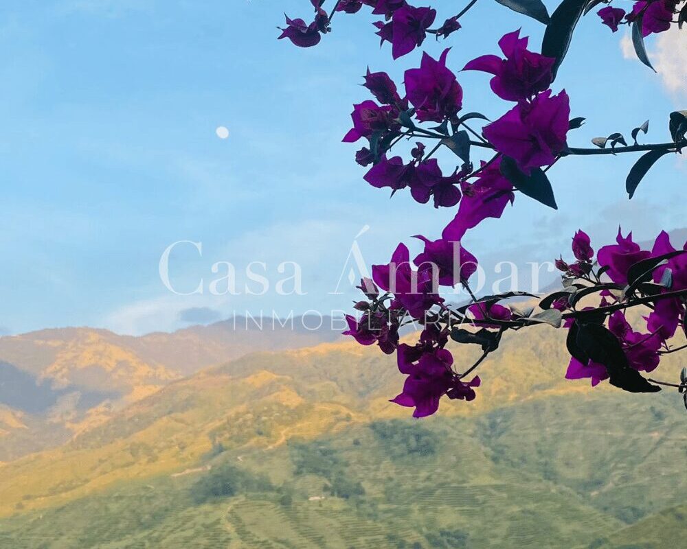 Finca en Calarcá