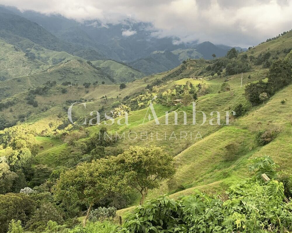 Finca con tierra para ganado