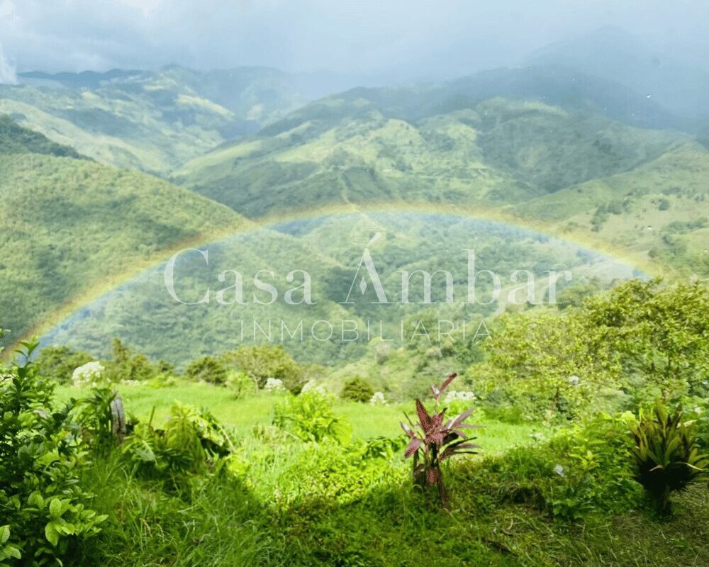 Finca con clima bueno para café