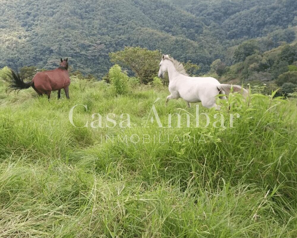 Finca con potrero