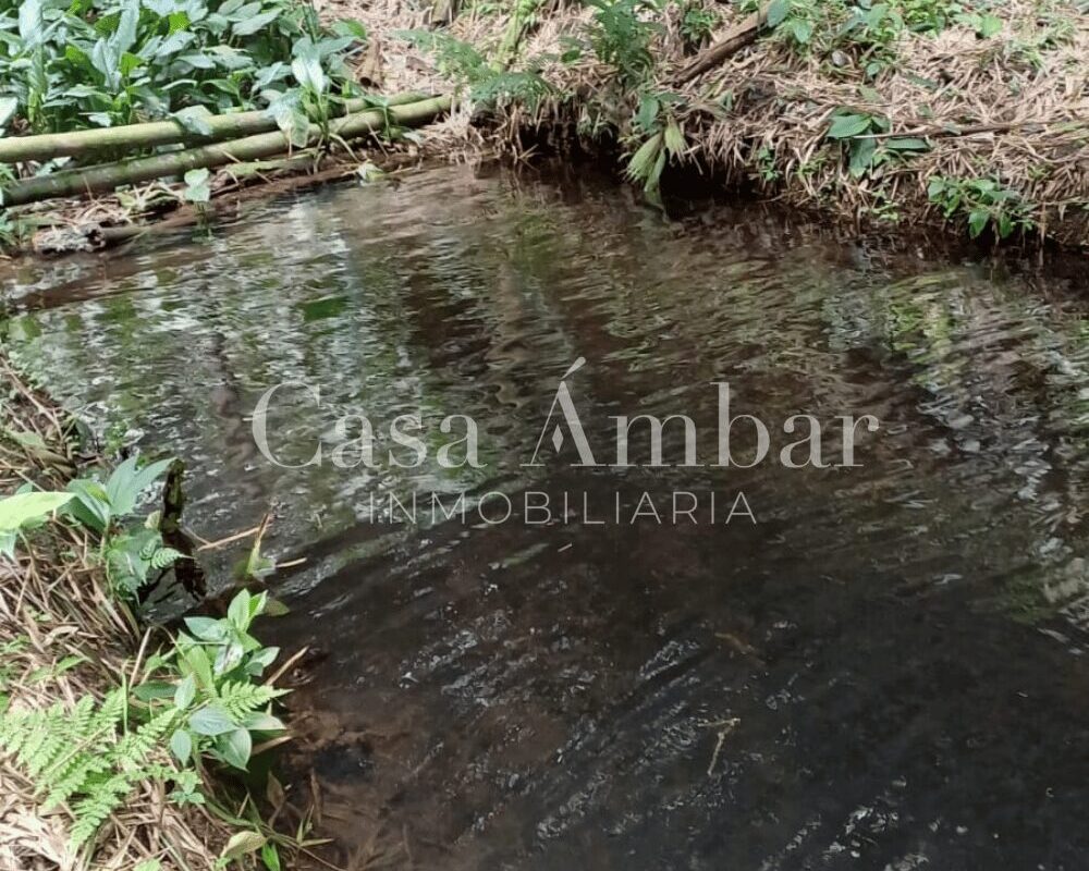 Lote con Nacimiento de Agua
