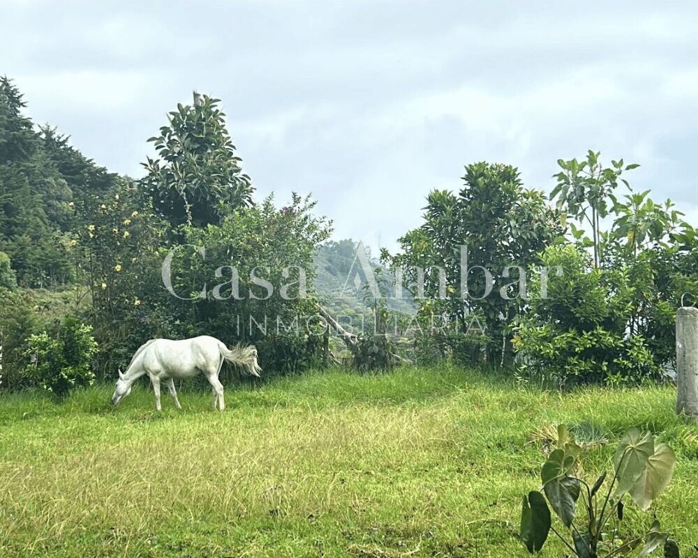 Finca a la venta en el Quindío