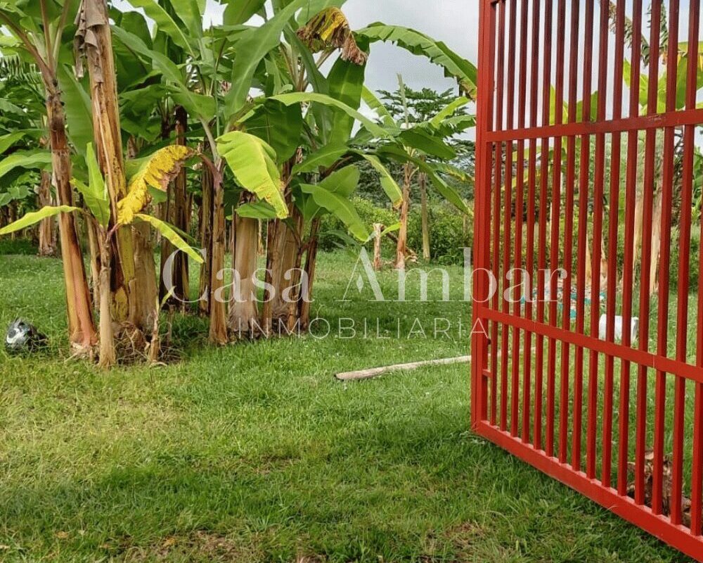 Lote con energía y agua