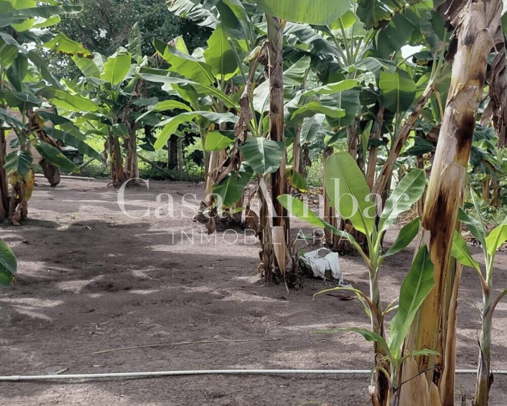 Lote amplio para construcción