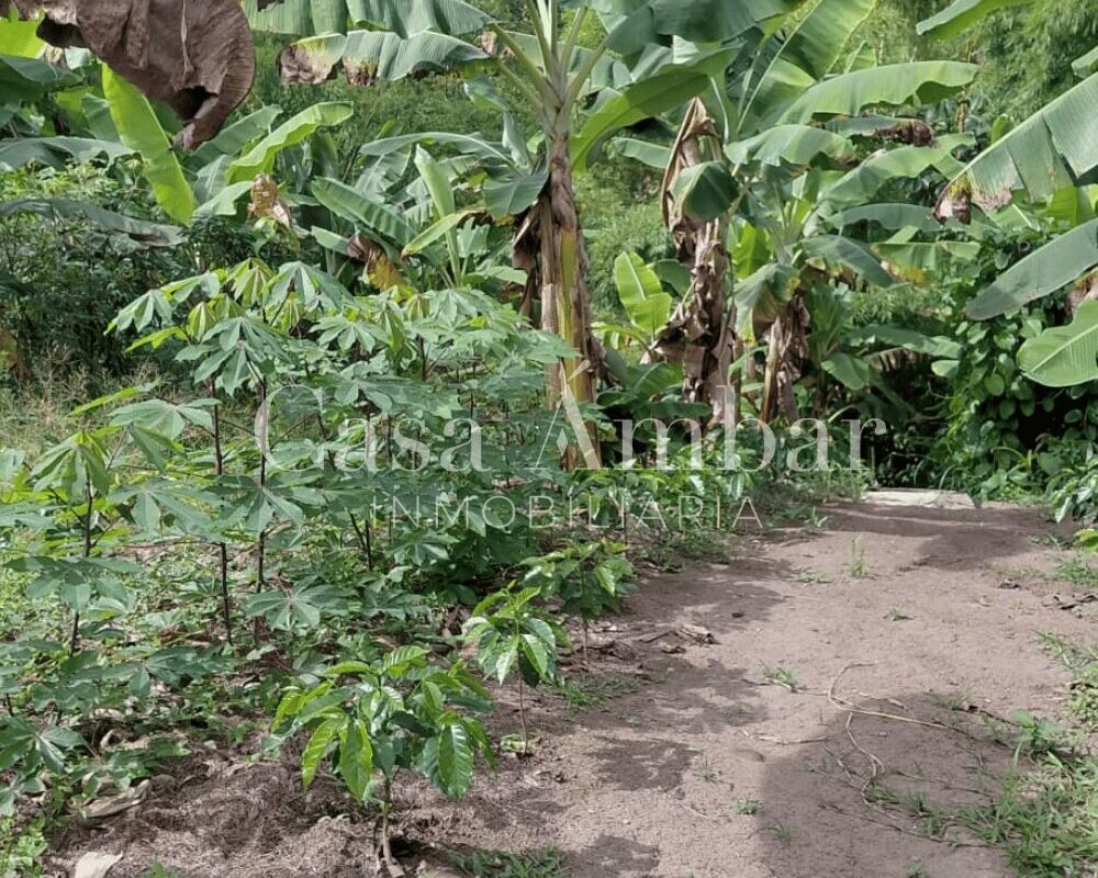 Lote para inversión en el eje cafetero