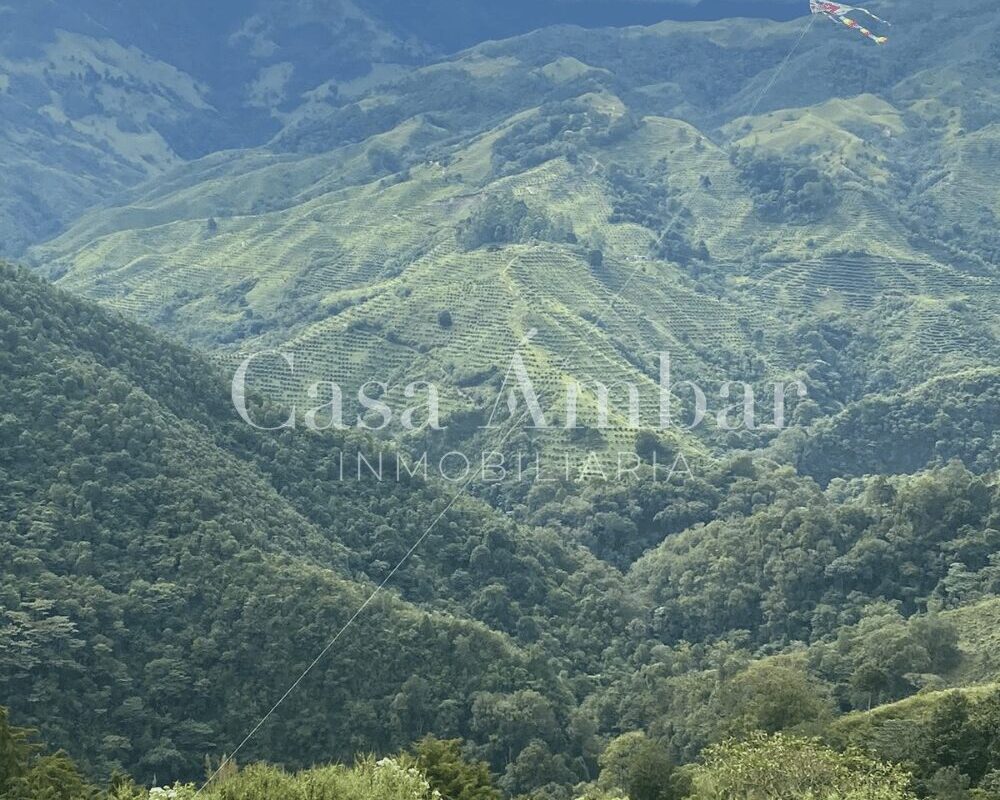 Finca en el PCC