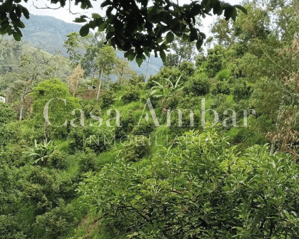 finca-cafetera-en-venta-en-el-quindio