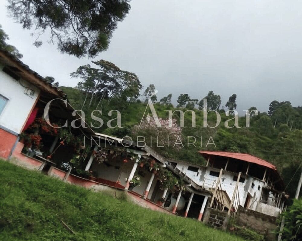 finca-con-produccion-de-aguacate-en-venta
