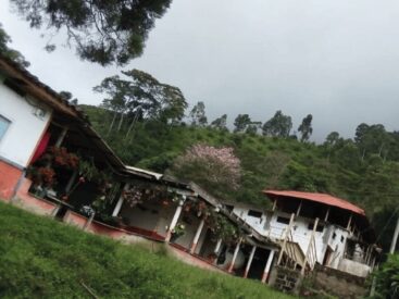 Finca Cafetera a la venta en el quindio
