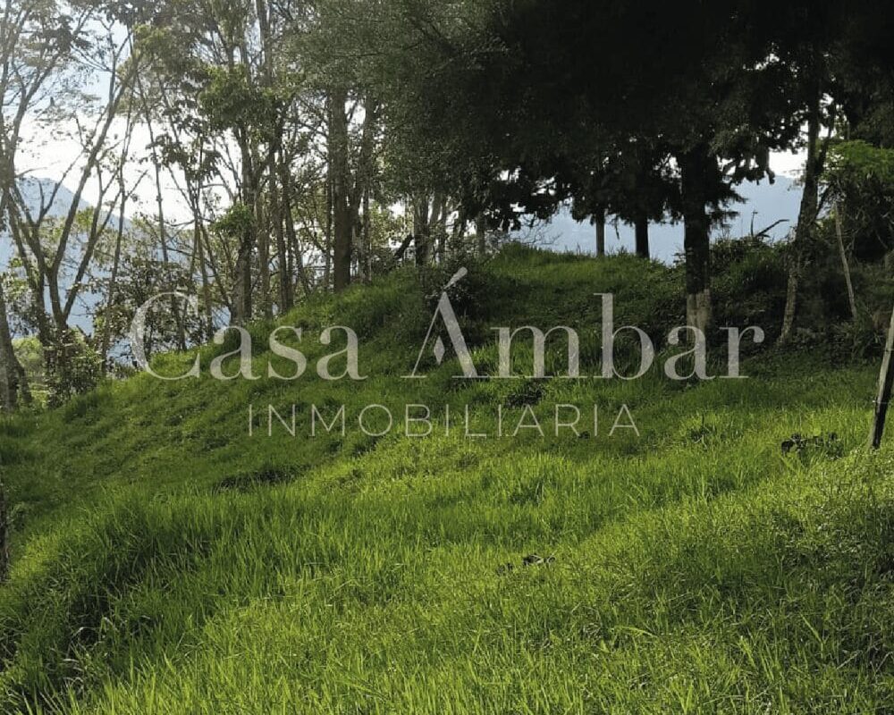 finca-productiva-en-venta-en-el-pijao-quindio