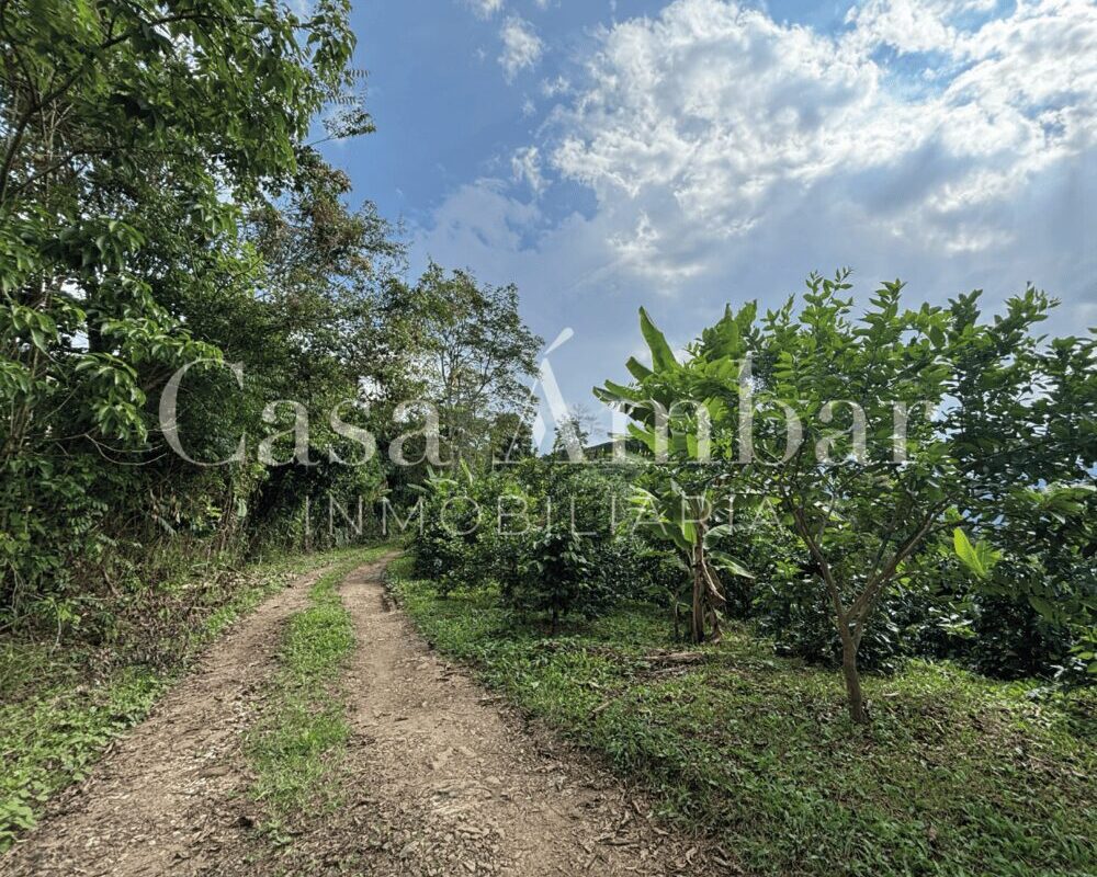 se-vende-finca-amoblada-con-en-pijao-quindio