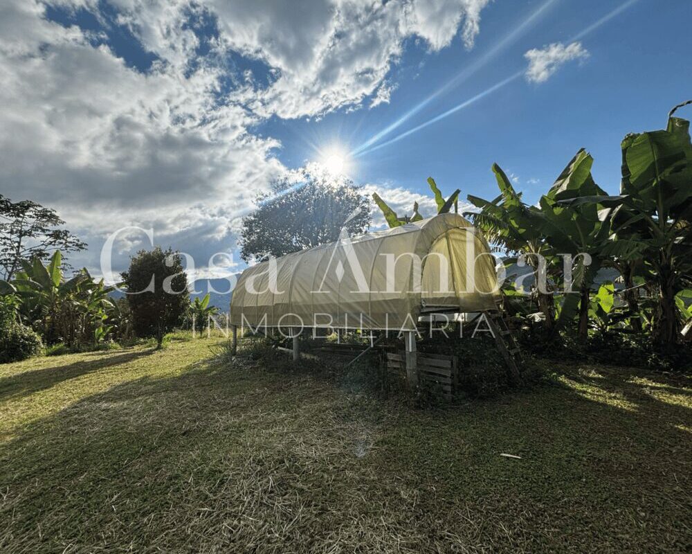 se-vende-finca-cafetera-con-marquesina-en-pijao-quindio