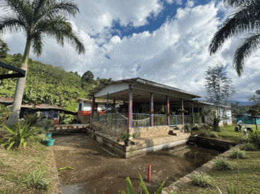 se-vende-finca-cafetera-en-pijao-quindio