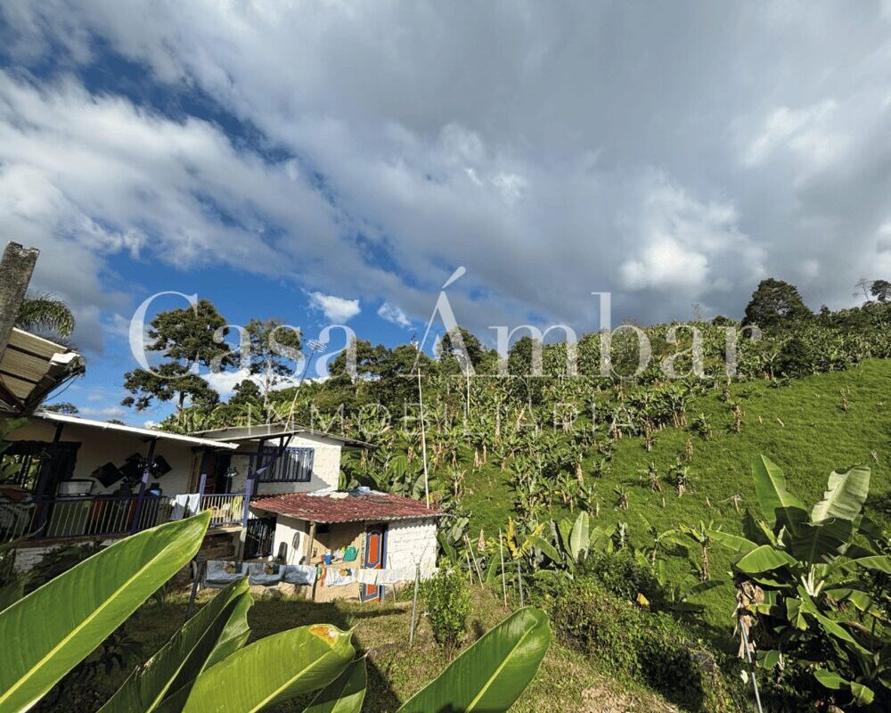 se-vende-finca-con-cultivos-asociativos-en-pijao-quindiopng