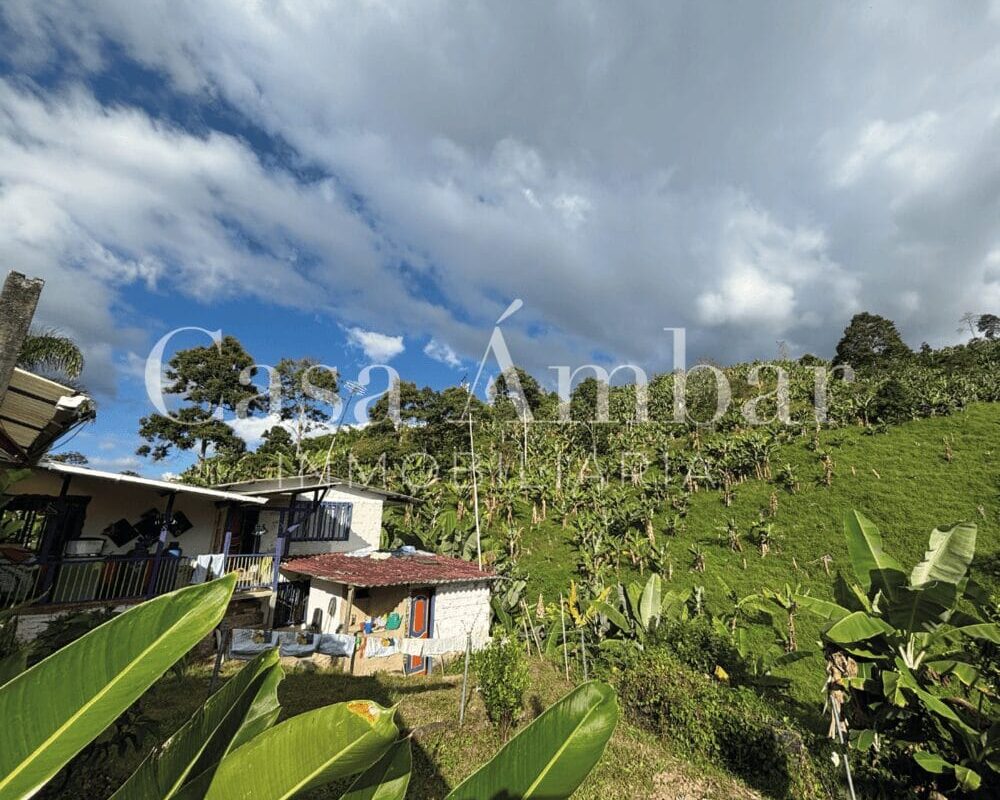 se-vende-finca-con-cultivos-asociativos-en-pijao-quindiopng