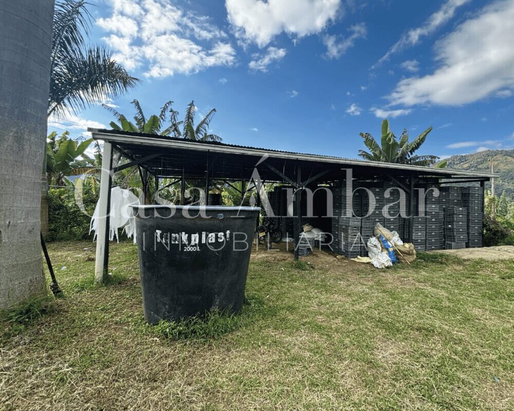 se-vende-finca--con-punto-de-acopio-en-pijao-quindio