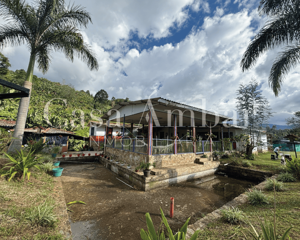 se-vende-finca-productiva-con-casa-campesina-en-pijao-quindio